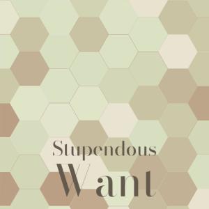 Various Artists的專輯Stupendous Want