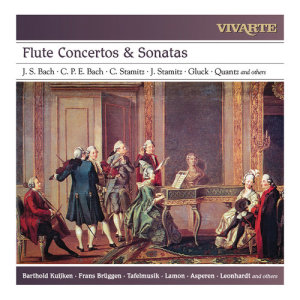 收聽Tafelmusik的Concerto in E Minor for Flute, Strings and Basso Continuo: II. Andantino歌詞歌曲