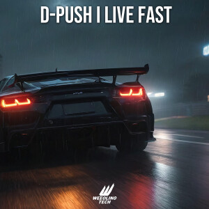 D-Push的专辑Live Fast
