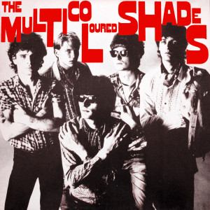 收听The Multicoloured Shades的Hunting歌词歌曲