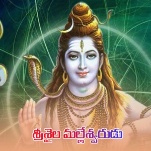 Album Srishaila Malleshwara from 