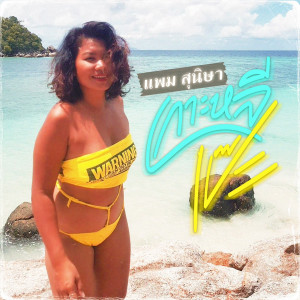 Listen to เกาะหลีเป๊ะ song with lyrics from แพม สุนิษา