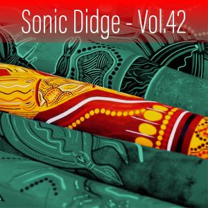Album Sonic Didge, Vol. 42 from Ash Dargan