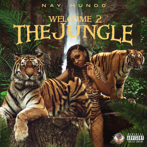 Listen to Come & Go (Explicit) song with lyrics from Nay Hundo