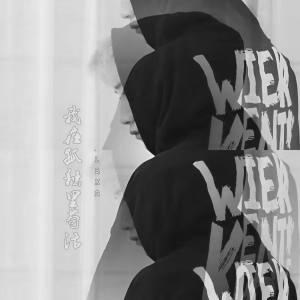 Listen to 我在孤独里苟活 (伴奏) song with lyrics from 老宋先森