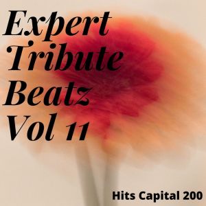 Sunset Anthemz的專輯Expert Tribute Beatz Vol 11