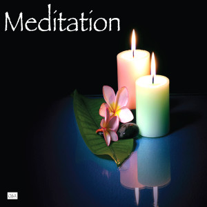 收聽Meditation的Canon in D歌詞歌曲