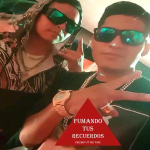 收听Crizboy的FUMANDO TUS RECUERDOS (feat. Mr tune) (feat. Mr.Tune)歌词歌曲