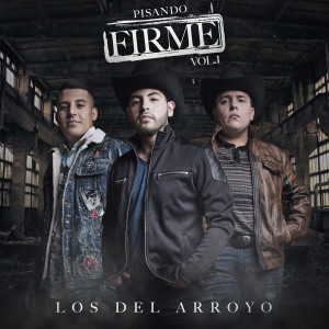 收聽Los Del Arroyo的Morí (En Vivo)歌詞歌曲