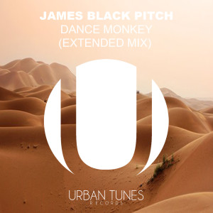 Listen to Dance Monkey (Extended Mix) song with lyrics from James Black Pitch