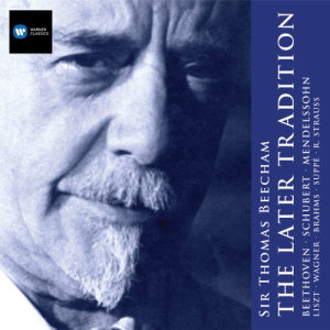 收聽Thomas Beecham的Don Quixote, Op. 35, TrV 184: Variation V (Don Quixote's Vigil). Sehr langsam歌詞歌曲