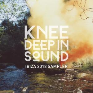 Various Artists的專輯Ibiza 2018 Sampler