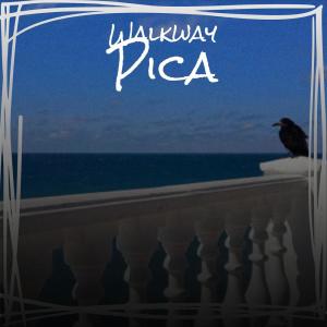 Listen to Inducteous Aromatherapy song with lyrics from Alip Rano