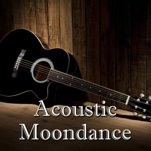 Listen to Moondance song with lyrics from Desperados