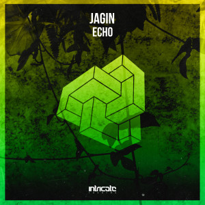 Echo dari Jagin