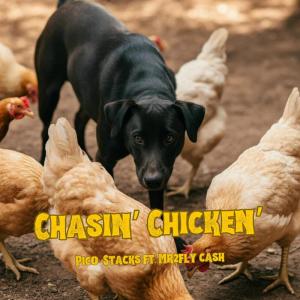 Album Chasin' Chicken from Pico Stacks