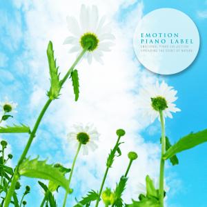 Listen to Song Singing On The Street Nature Version (Nature Ver.) song with lyrics from Humming Around