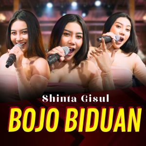 收聽Shinta Gisul的Bojo Biduan歌詞歌曲