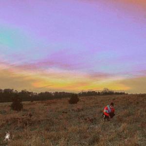 Listen to Phoenix (Explicit) song with lyrics from Dytenna
