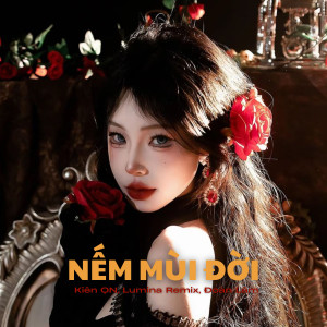 收聽Đoàn Lâm的Nếm Mùi Đời (Remix)歌詞歌曲