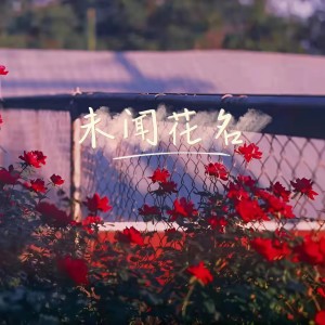 收聽所追尋的風的未聞花名 (完整版)歌詞歌曲