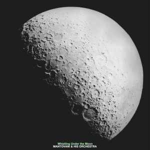 收听The Mantovani Orchestra的Let's Fall in Love for the Last Tome歌词歌曲