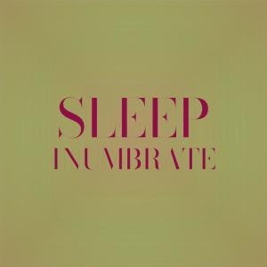 Listen to Pace Automobile song with lyrics from Dlen Mayed