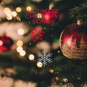 收聽The Christmas Songs Players的Frost on the Pine歌詞歌曲