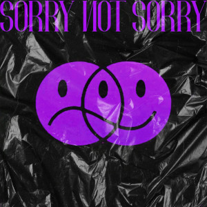 收聽Denom的Sorry Not Sorry (Explicit)歌詞歌曲