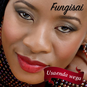 ดาวน์โหลดและฟังเพลง Usaenda Wega พร้อมเนื้อเพลงจาก Fungisai Zvakavapano Mashavave