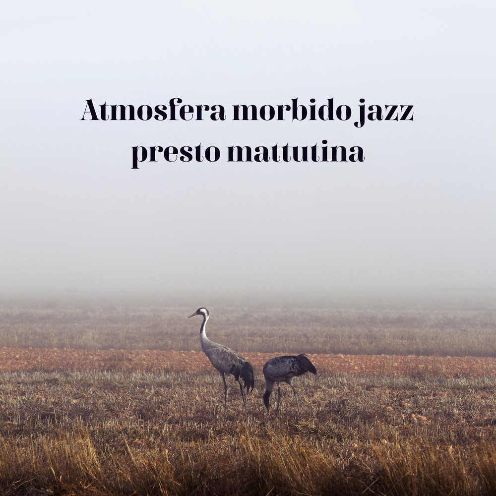Rilassati e non preoccuparti