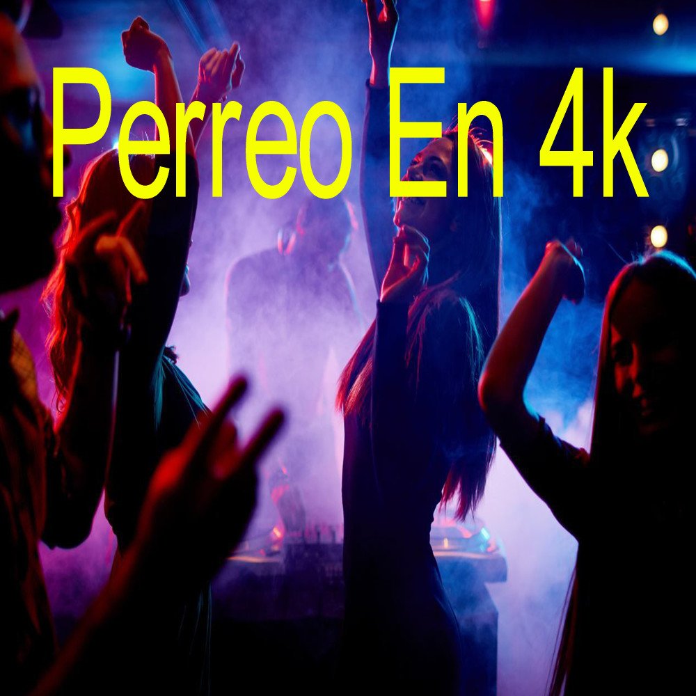 Perreo En 4k