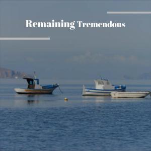 Various的专辑Remaining Tremendous