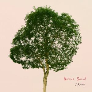 ดาวน์โหลดและฟังเพลง Country พร้อมเนื้อเพลงจาก J.Roomy