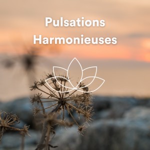 Album Pulsations Harmonieuses from Zen Ambiance D'eau Calme