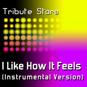 ดาวน์โหลดและฟังเพลง Enrique Iglesias feat. Pitbull - I Like How It Feels (Instrumental Version) พร้อมเนื้อเพลงจาก Tribute Stars