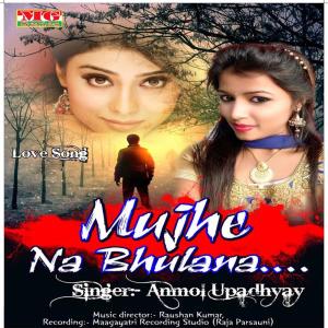 Dengarkan lagu Tu Mera Raja Mai Teri Rani nyanyian Anmol Upadhyay dengan lirik