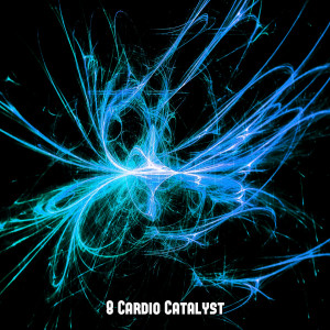 Ibiza DJ Rockerz的专辑8 Cardio Catalyst