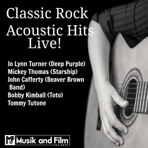 Various Artists的專輯Classic Rock Acoustic Hits Live!