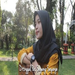 Dengarkan Ditinggal Pas Sayang Sayange (Ditinggal Pas Sayang Sayange) lagu dari AFA Official dengan lirik