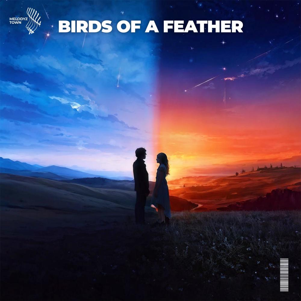 birds of a feather (male version|sped up)