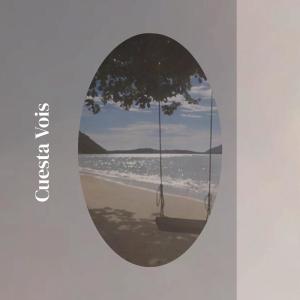 Listen to Cuesta Vois song with lyrics from Tuna Biki