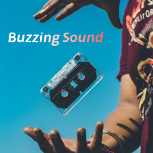 Listen to Buzzing Sound song with lyrics from Mike Bell