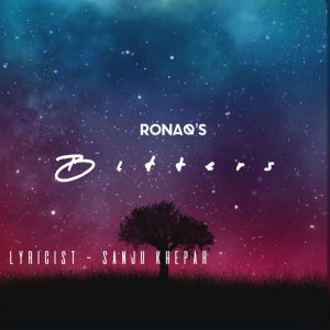 Listen to Bitters song with lyrics from Ronaq