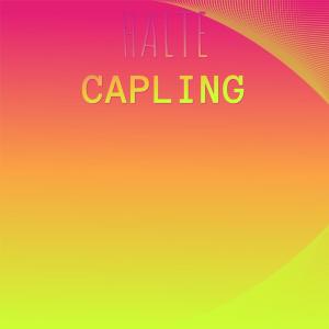 อัลบัม Halte Capling ศิลปิน Various