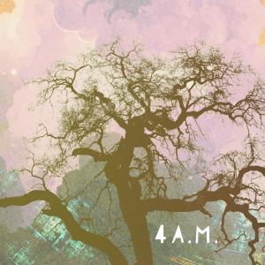 Album 4 AM (Explicit) from 