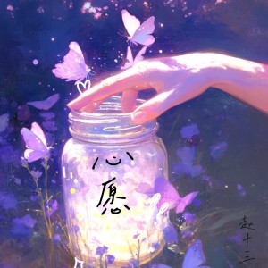 收听赵十三的心愿歌词歌曲