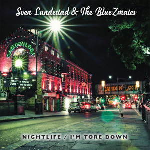 ดาวน์โหลดและฟังเพลง I´m Tore Down พร้อมเนื้อเพลงจาก The BlueZmates