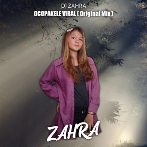 ดาวน์โหลดและฟังเพลง Ocopakele Viral พร้อมเนื้อเพลงจาก Dj Zahra