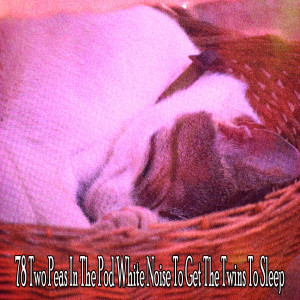 ดาวน์โหลดและฟังเพลง Overcoming Nightly Struggles พร้อมเนื้อเพลงจาก Relaxing Music Therapy